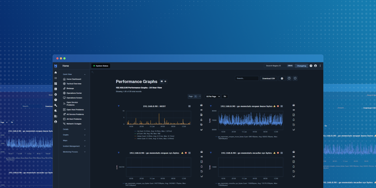 A Graphic of Nagios XI displaying Performance Graphs of Prometheus Metrics